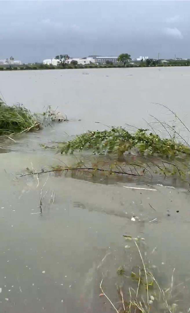 立委郭国文初勘发现安定区胡麻田已成一片汪洋。（郭国文服务处提供／宝智华台南报导）