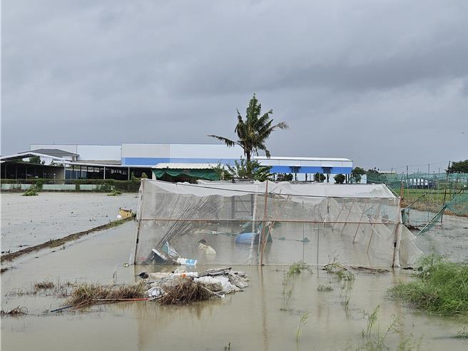 凱米颱風離去，高雄初步估計到26日上午10時，農畜損約5825萬元，後續根據公所查報彙整統計中。（羅琦文攝）