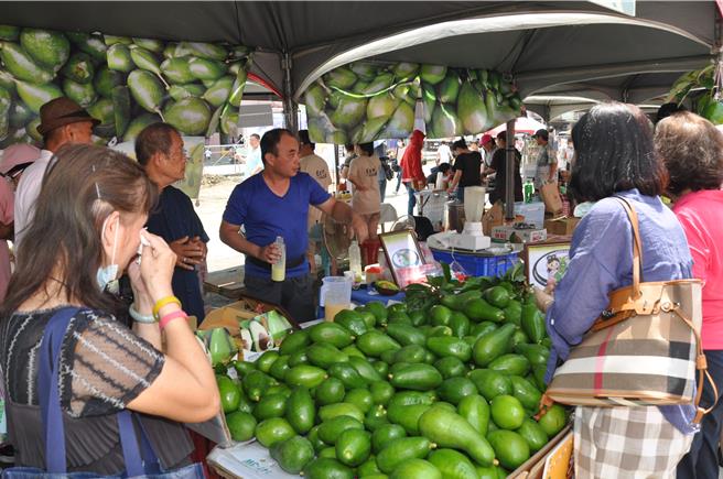 大内酪梨节将依既定计画于28日在大内青果市场举行，现场展售优质酪梨。（大内区公所提供资料照片／宝智华台南传真）