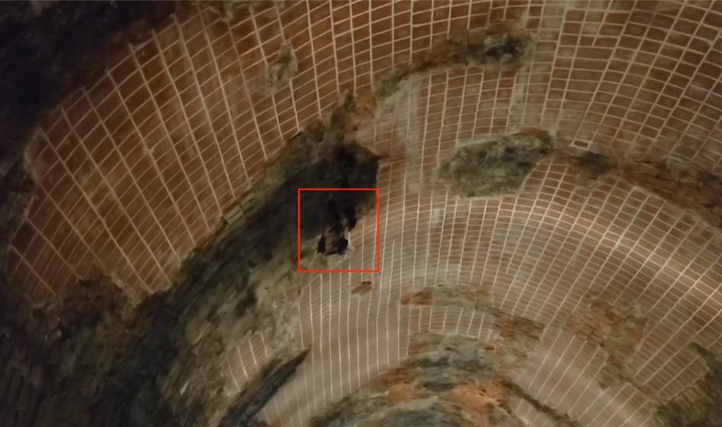 基隆市定古蹟劉銘傳隧道內葉鼻蝠已順利生產進入育幼期。基市府表示，9月視情況再開放自由參觀。（徐佑昇攝）