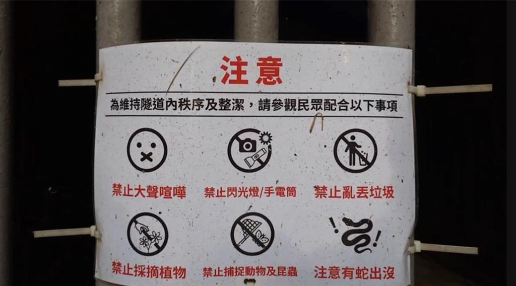 基隆市定古蹟劉銘傳隧道內葉鼻蝠已順利生產進入育幼期。圖為基市府在隧道內掛上的告示，避免過度影響生態。（徐佑昇攝）