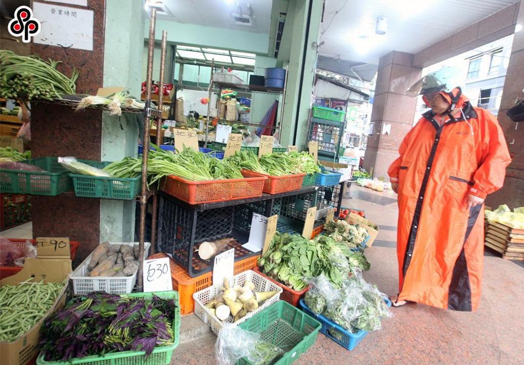 中南部災情漸緩台北菜價回穩 北農下周一將釋平價蔬菜