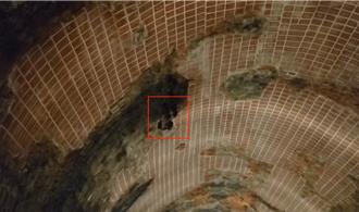 基隆劉銘傳隧道葉鼻蝠生寶寶 為降低干擾調整參觀方式