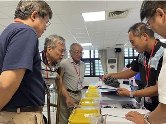台中市優質葡萄評鑑揭曉 新社區農友鄧秀雄奪冠
