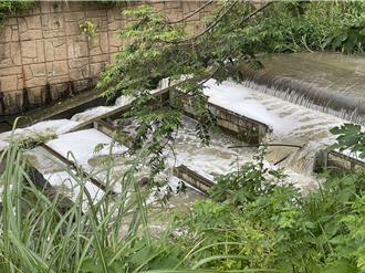 淡水公司田溪变泡泡河 排放源竟来自上游社区