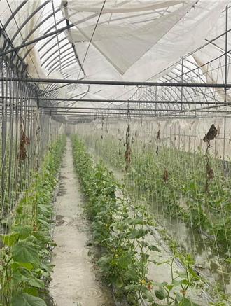 獨》農損破表！台灣最正農婦：民生議題7天後炸裂