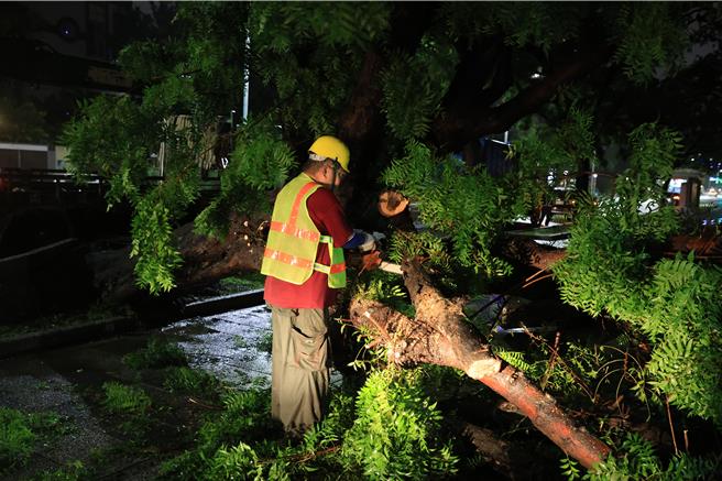 凯米颱风重创高雄，街道满目疮痍，树干树枝树叶满地，经过清洁人员努力下，不到24小时接到接近復原。（民眾提供）