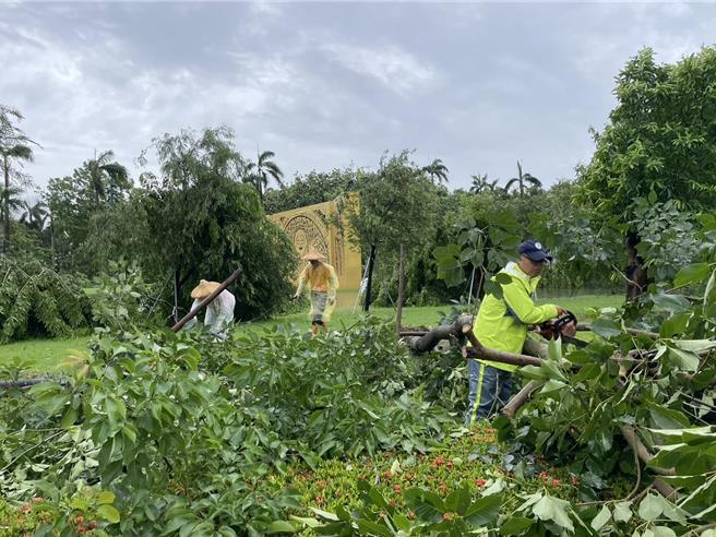 台南古蹟、园区灾情主要为树木倒伏居多。（台南市文化局提供／曹婷婷台南传真）
