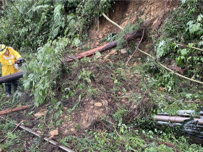阿里山林鐵邊坡土石崩落、倒樹災害多達89處。（阿里山林鐵及文資處提供∕呂妍庭嘉義傳真）