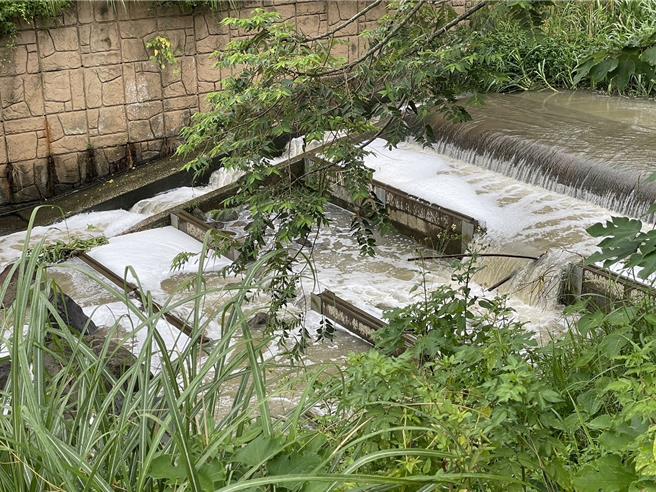 新北市环保局26日接获民眾陈情，新北市淡水区公司田溪变泡泡河，环保局派员前往稽查，确认泡泡来源为上游海洋都心三期社区。（新北市环保局提供）