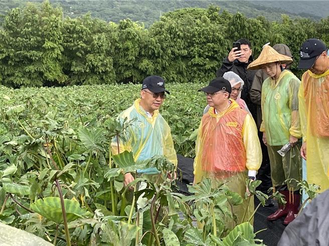 行政院长卓荣泰（前左二）到吉安乡芋头田关心农损。（王志伟摄）