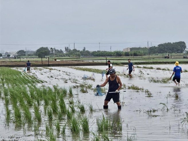 据统计，目前各地农损除了农粮作物外，畜牧及渔业也传出许多灾情。（报系资料照）