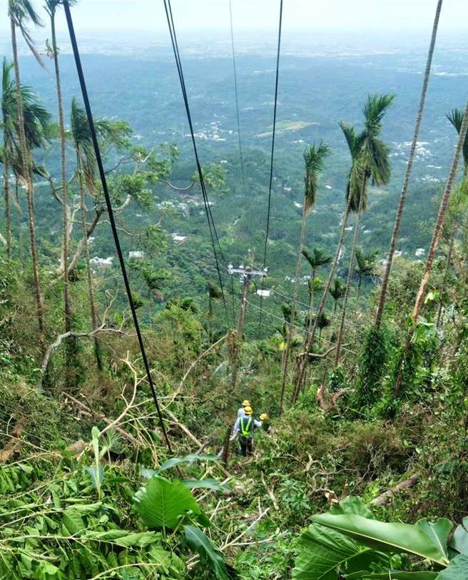 台电示意图。图为台电工程人员昔日抢修电力画面。（资料照）