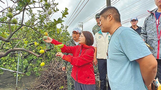 强颱凯米肆虐屏东县，初估农损2.4亿元、全台最严重，县长周春米（左）26日一早前往高树、里港、九如等乡镇视察。（谢佳潾摄）