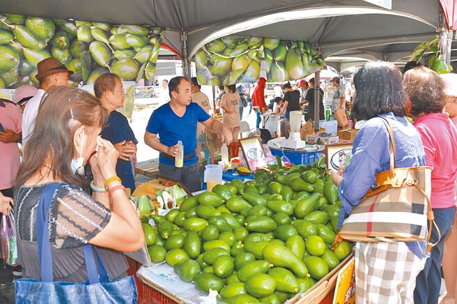 儘管凯米颱风狂风暴雨重创南台湾，但目前正值酪梨产期，大内区公所为了替农民行销，决定仍依既定计画于28日举办「幸福哈酪」2024大内酪梨节产业文化活动。（大内区公所提供／宝智华台南传真）