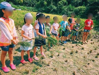 暑假到了去哪玩？新北7農村再生社區推一日遊