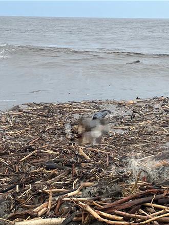 船難再添冤魂！林園沙灘又尋獲1遺體    確認為福順輪船員