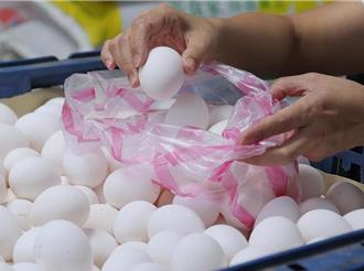 張啓楷質疑進口日本蛋「利潤」達1.3億：賣1顆賺2顆