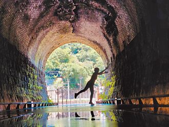 三貂嶺隧道蝙蝠育幼期 參觀勿擾
