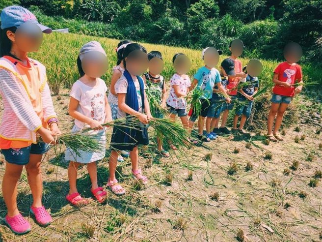 石門區嵩山社區帶領民眾體驗農事並製作米苔目及草仔粿。（新北市農業局提供）