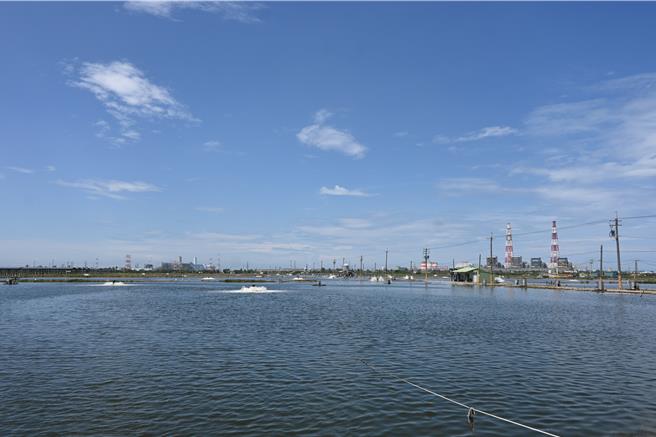 位于茄萣区兴达和路竹区顶寮一带的兴达养殖生产区，约有40公顷，主要养殖鲈鱼、虱目鱼和白虾。（记者林雅惠摄）