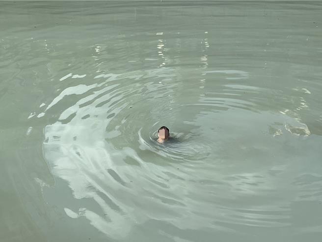 基隆市28日上午有男子跳進田寮河游泳，警消獲報後立即將其拉上岸，確切的身分及原因，還有待警方進一步調查釐清。（翻攝照片／張志康基隆傳真）