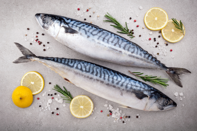 鯖魚富含Omega-3脂肪酸，食用有助增加理解力與記憶力。（示意圖，Shutterstock／達志）