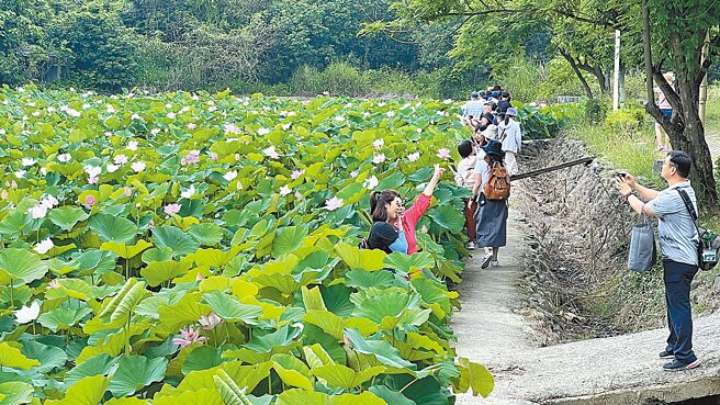 草店社區串聯白河的特色景區推出小旅行遊程，活絡地方產業。（張毓翎攝）