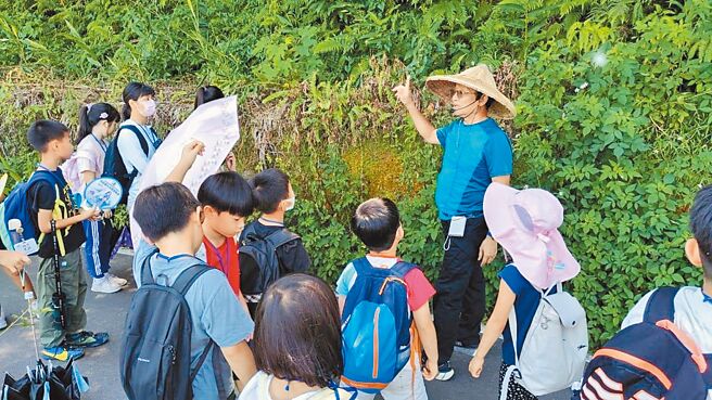 颱風過境後昨日桃園市復興區遊客銳減，山區住房率從8成雪崩式下降至不到4成。（枕頭山農莊提供／姜霏桃園傳真）