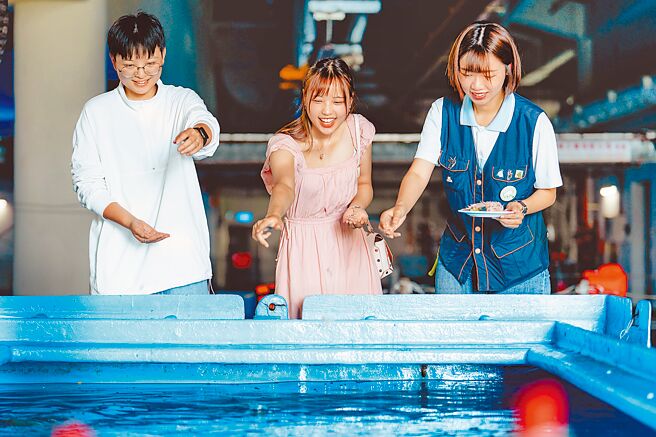 海生館可體驗親手餵食可愛小鯊魚。（屏東海生館提供）