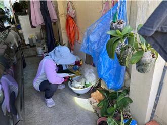 台南出現首例屈公病境外移入 今緊急戶內外化學防治