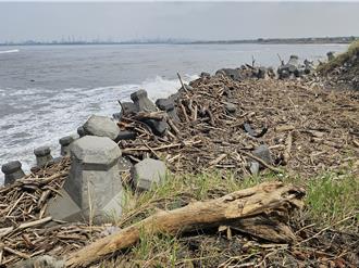 凱米肆虐！屏東沿海漂流木遍布 自由撿拾開放時間待公告