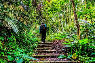 森游竹县已有524人完登 加码送50只皮皮狮玩偶抽APPLE WATCH