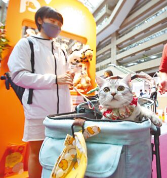 護毛孩食安 農業部擬加嚴成分標準