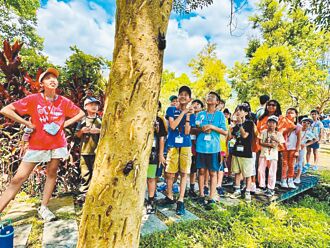 暑假放電 新北農村再生社區1日遊