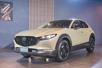 纪念车款稀有超值