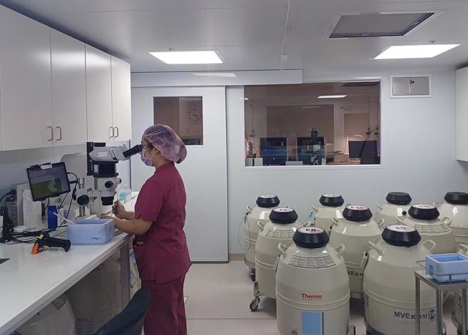 目前國內捐贈精卵為非商業行為，但捐贈者可領取營養金，捐卵最高9.9萬元、捐精最高8000元。圖為國內合格人工生殖機構。（王家瑜攝）