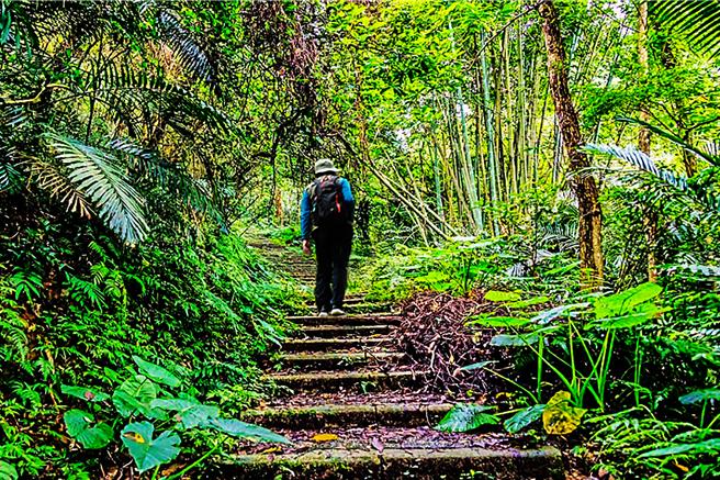 「2024森遊竹縣皮皮獅Hike客任務」登山集章活動1個月，北埔大分林山步道是最受歡迎的第一名步道。（羅浚濱攝）