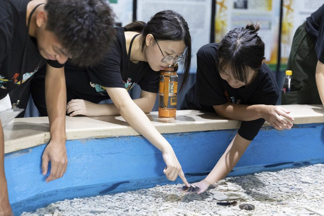 於水產試驗所東部海洋研究中心進行夏令營課程體驗：海洋尋奇─「小丑魚大解密」。(照片/教育部提供)