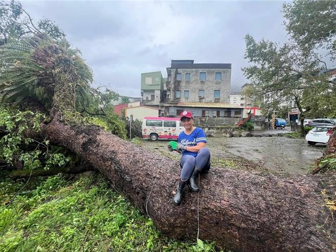 凯米颱风在宜兰登陆造成不少灾情，陪伴大南澳地区蓬莱国小许多学生度过快乐童年的百年老樟树，也被强风吹倒走入歷史，让师生们感伤。（宜兰县立蓬莱国小提供／吴佩蓉宜兰传真）