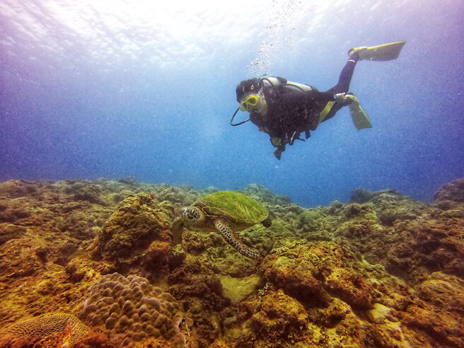 有部分打工换宿的店家还会提供免费潜水的机会。图／读者提供