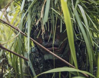 三軍九校院聯合入伍訓 強化戰場生存！偽裝隱蔽融入環境