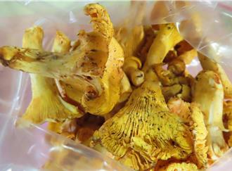 驚！立陶宛黃蘑菇檢出輻射超標 食藥署迅速銷毀