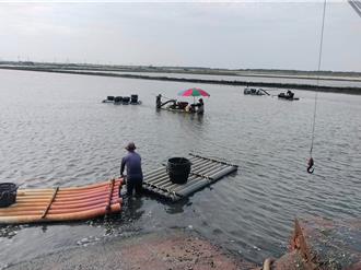 台西文蛤池遭凱米颱風淹沒 漁民憂延遲性災損難申報