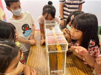 跟著新北市一起愛地球！食農教育展帶你認識永續未來