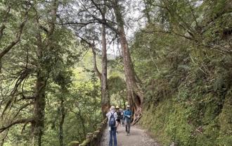 狂犬病疫情未緩解 19處森林遊樂區禁帶寵物延長2年