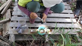 境外移入登革熱個案激增6成 高雄2工地有病媒蚊勒令停工