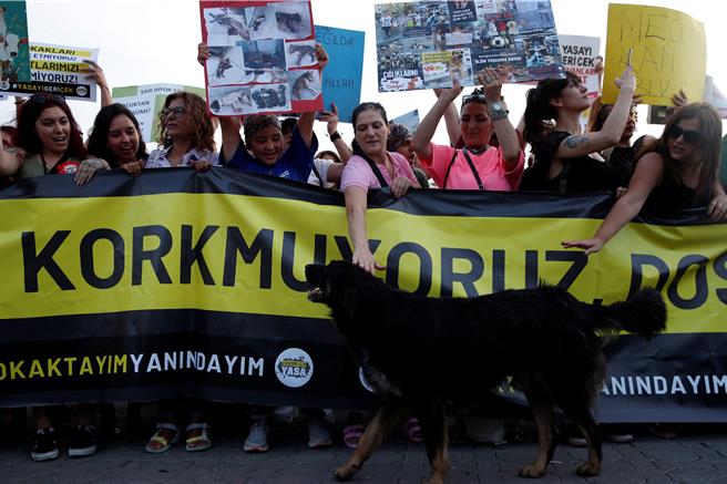 動物權利活動人士日前在伊斯坦堡參加集會，抗議政府通過的這項法律。（路透社）