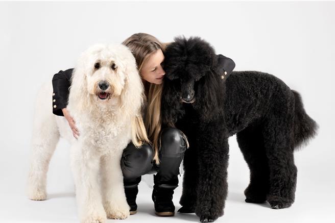 創辦人心愛的兩隻貴賓犬。（蜜納集團提供／黃唯淯台北傳真）