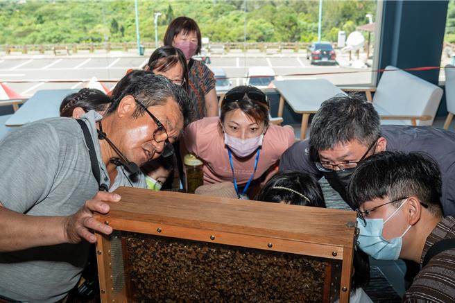 2024「芦竹炫YA农游季」上周末圆满落幕，活动期间30梯次免费小旅行及10场次食农教育体验，场场爆满，好评不断。(农业局提供／蔡依珍桃园传真)